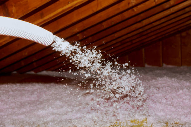 Best Spray Foam Insulation  in Wellston, MO