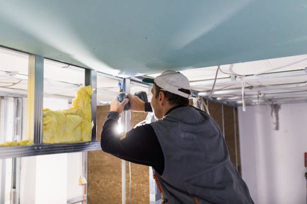 Best Insulation Contractor Near Me  in Wellston, MO