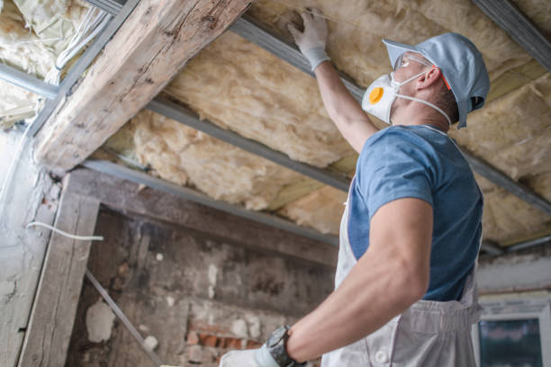 Best Spray Foam Insulation  in Wellston, MO