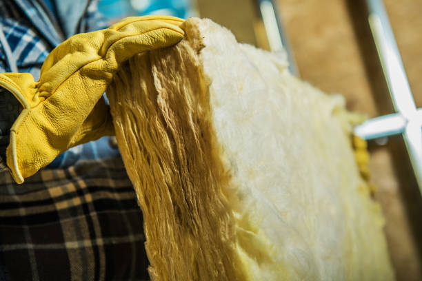 Best Home Insulation Services  in Wellston, MO