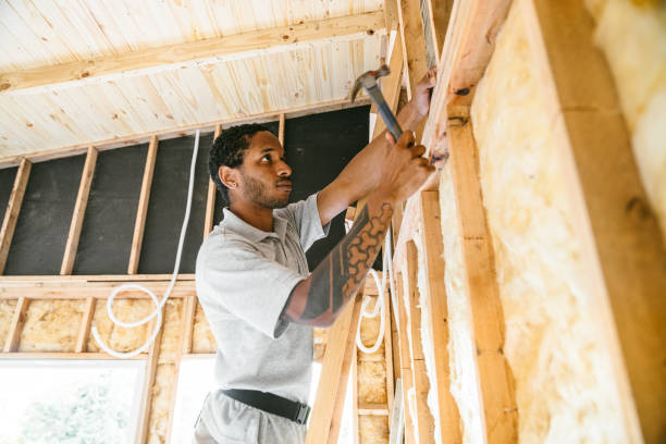 Best Wall Insulation Contractor  in Wellston, MO