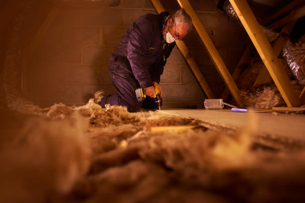 Best Attic Insulation Installation  in Wellston, MO