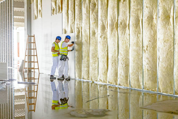 Professional Insulation Contractor in Wellston, MO